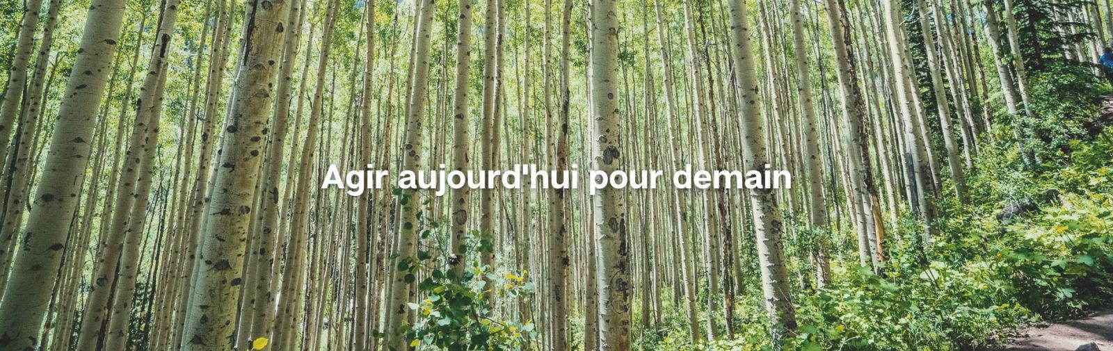 Développement durable enduits Toupret